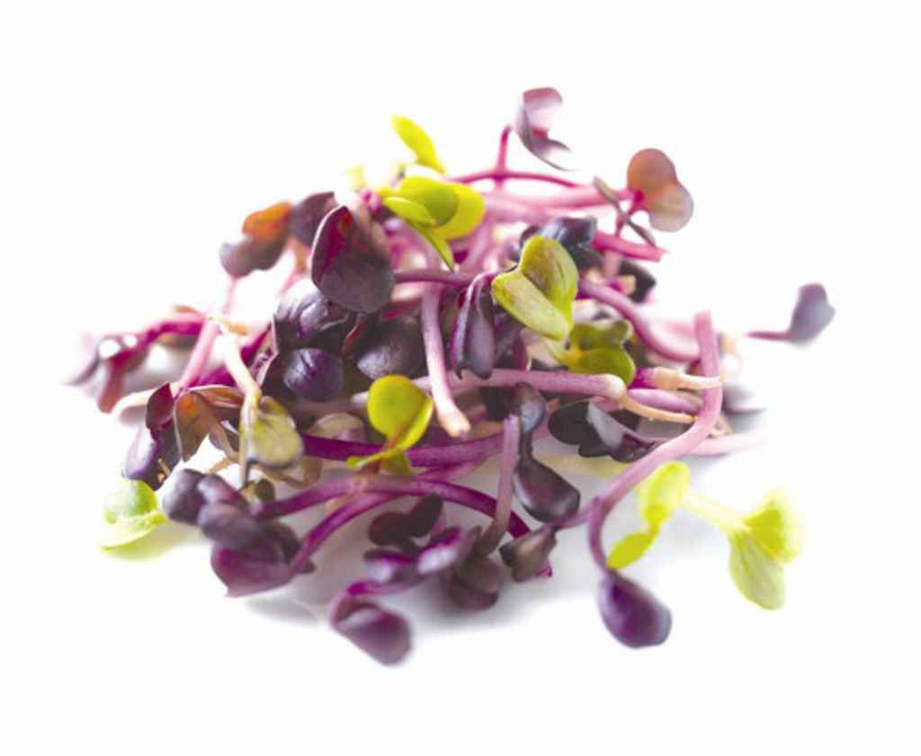 Sprouts-Microgreens