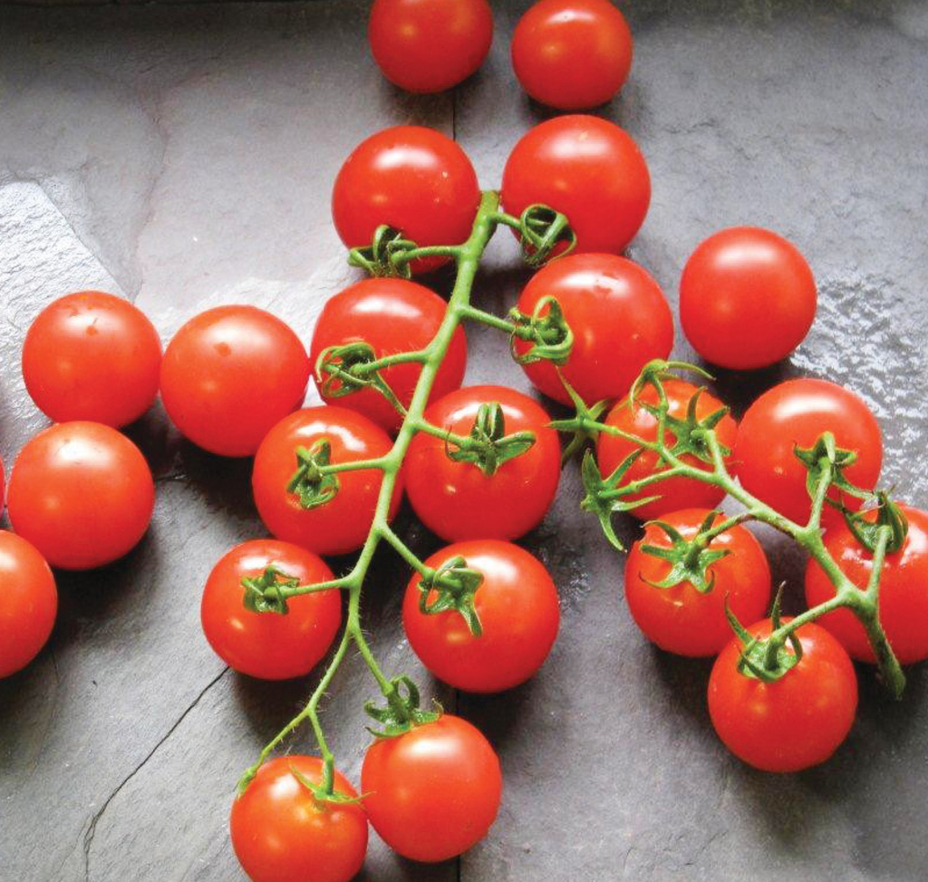 Tomato-Small fruited