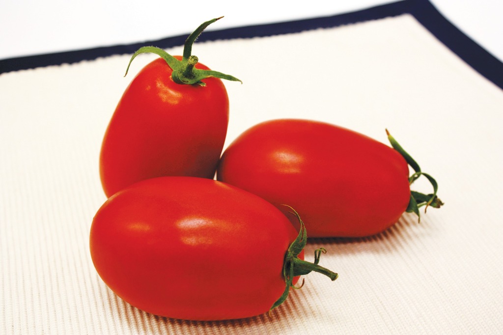 Tomato-Italian