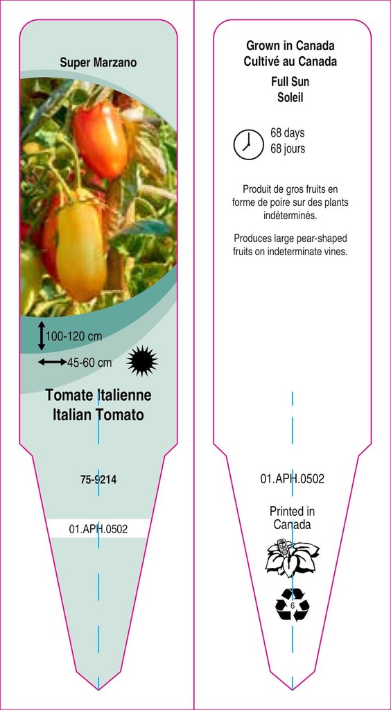 Tomate italienne