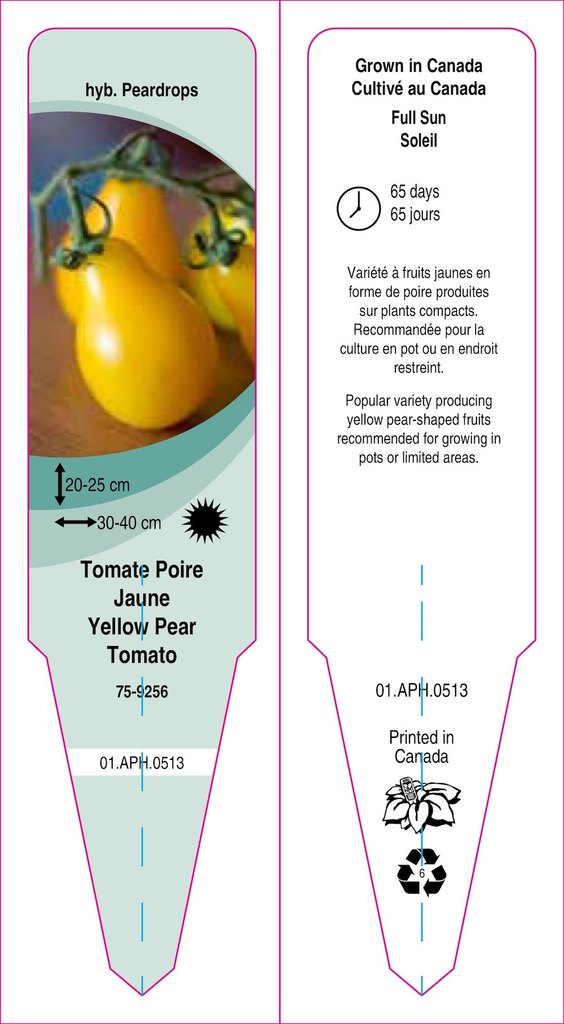 Tomato Pear Yellow