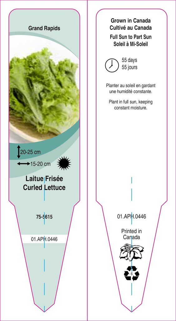 Leaf Lettuce-Leaf
