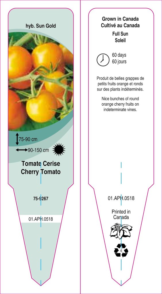 Tomato-Cherry Orange