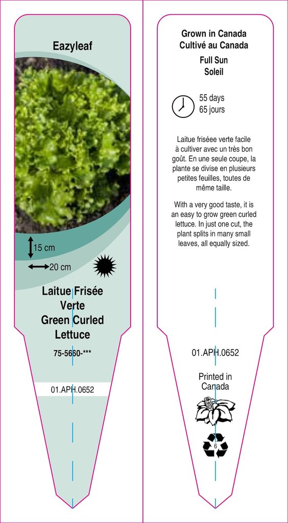 Leaf Lettuce-Leaf