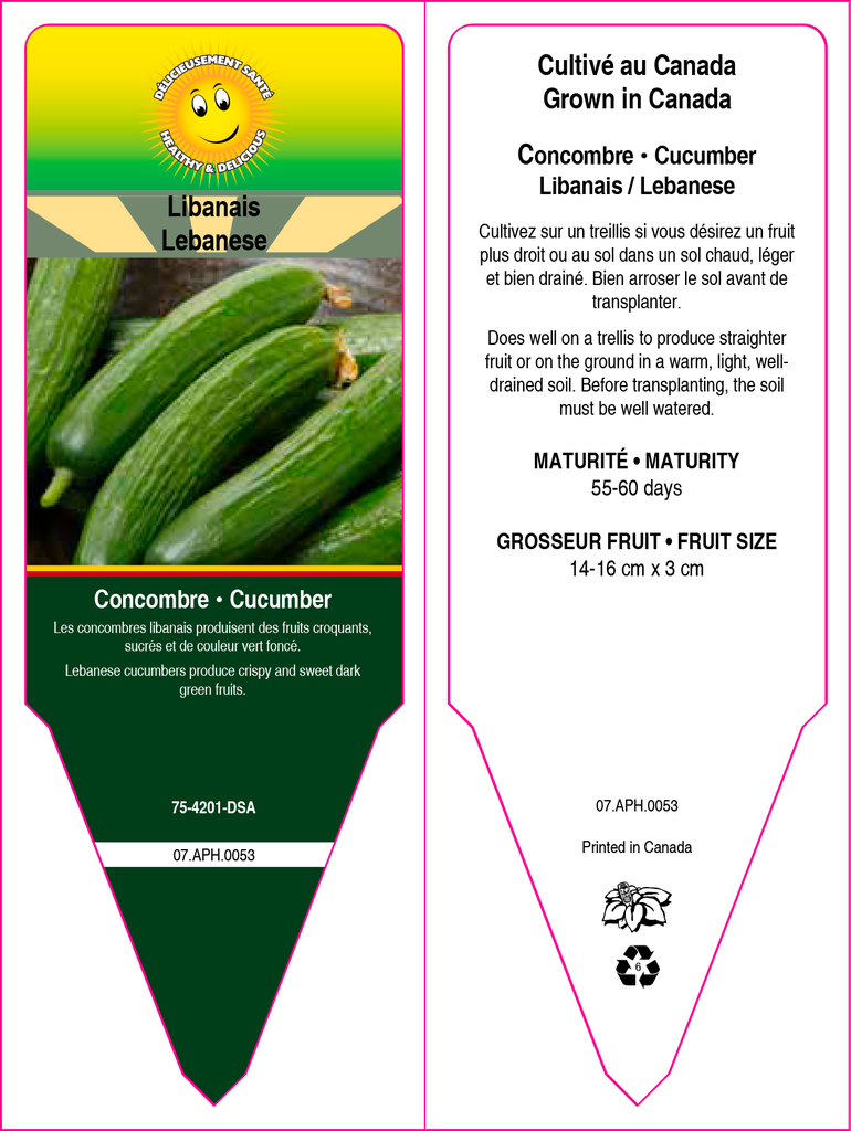 Libanese Cucumber