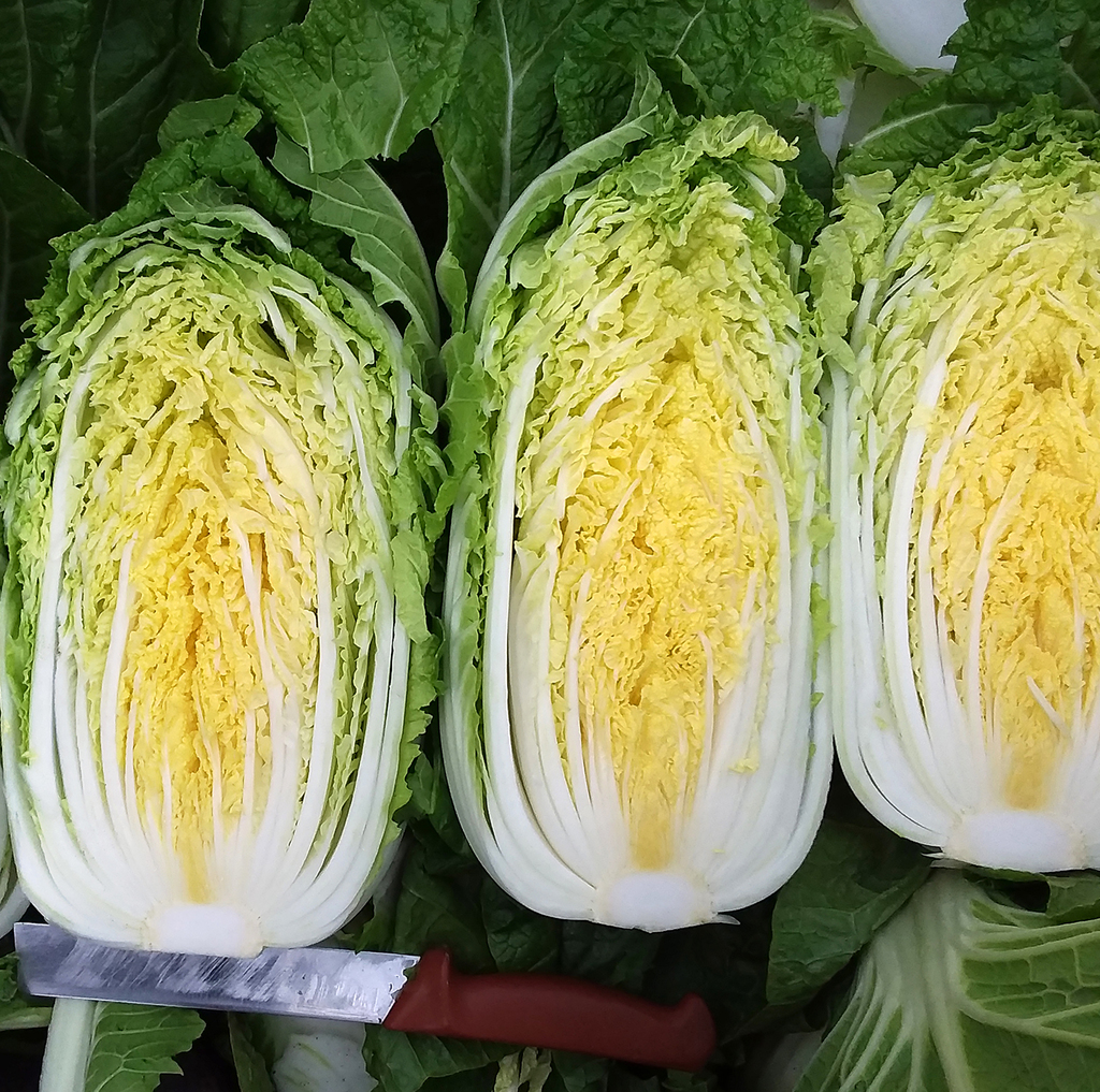 Cabbage-Chinese
