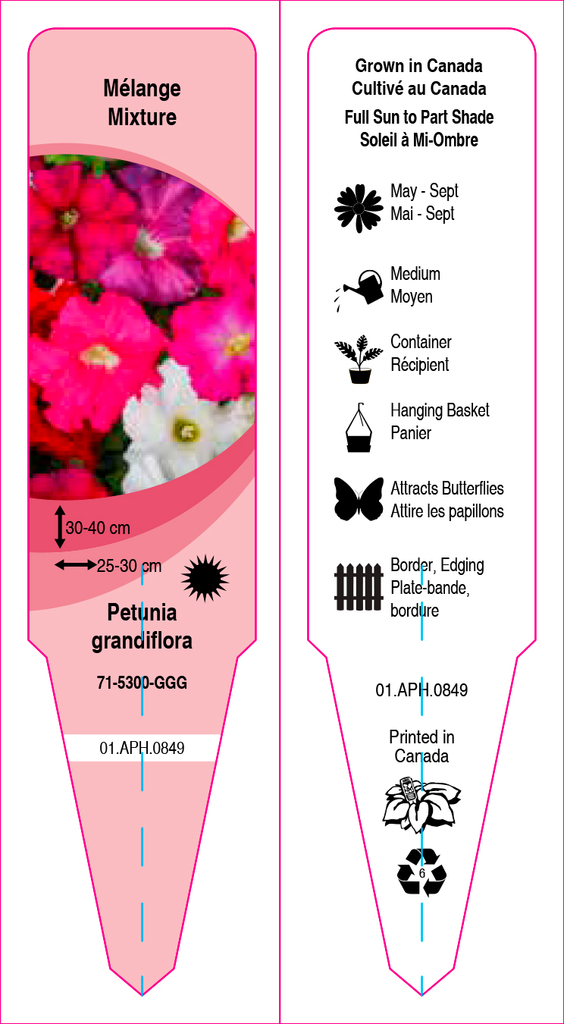 Petunia Single flower